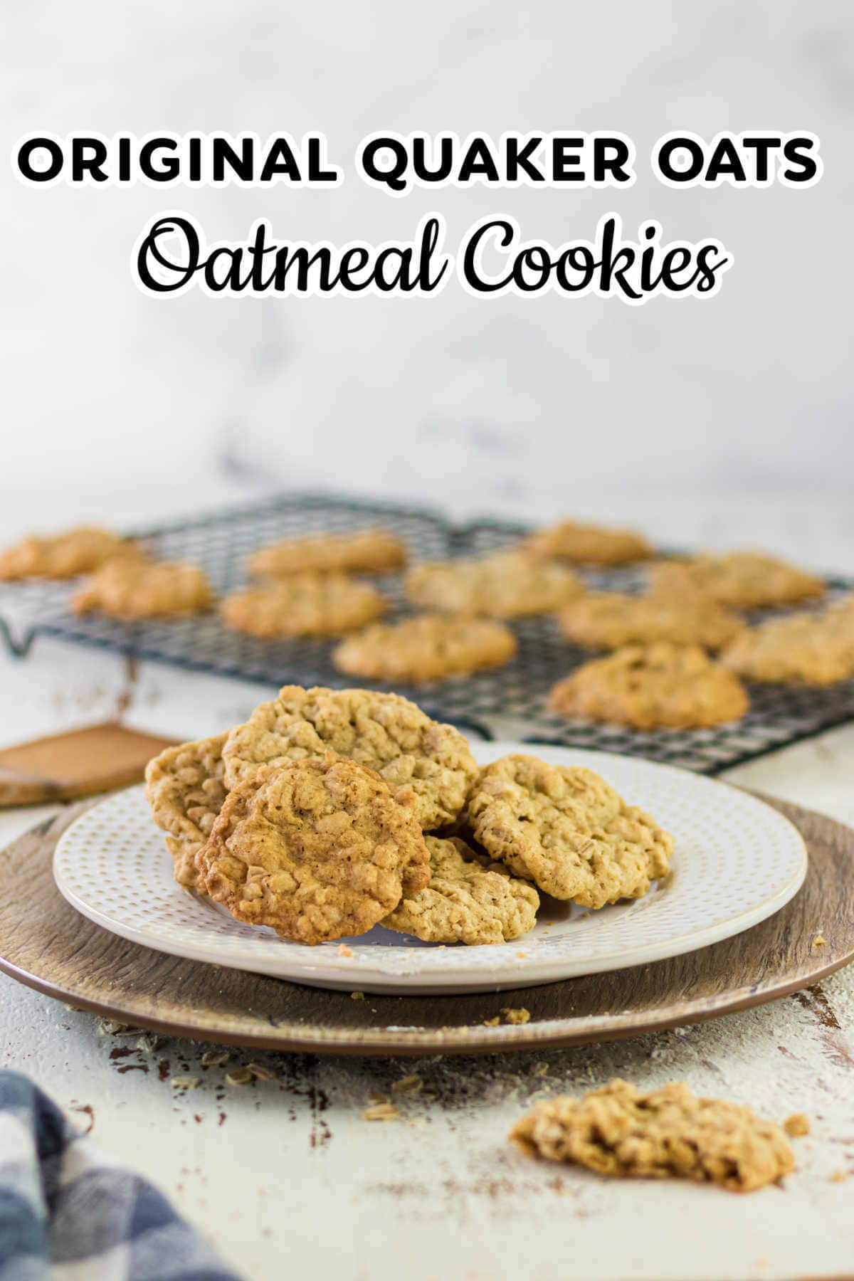 Quaker Oats Raisin Cookie Recipe Dandk Organizer