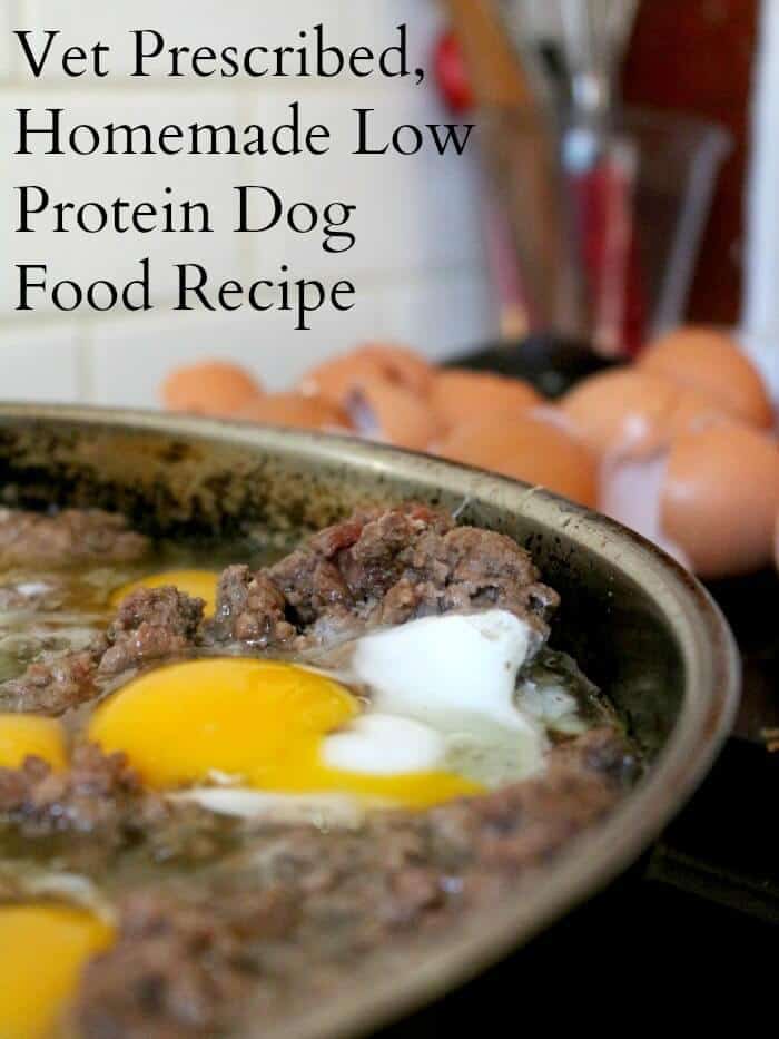 Complete and Balance Homemade Dog Food  Dog food recipes, Healthy dog food  homemade, Healthy dog food recipes