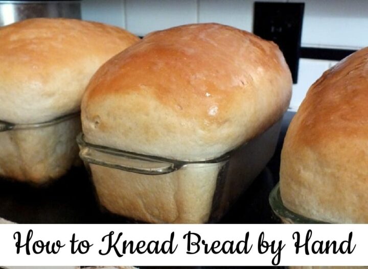 Homemade Buttermilk Sandwich Bread - Step By Step - Restless Chipotle