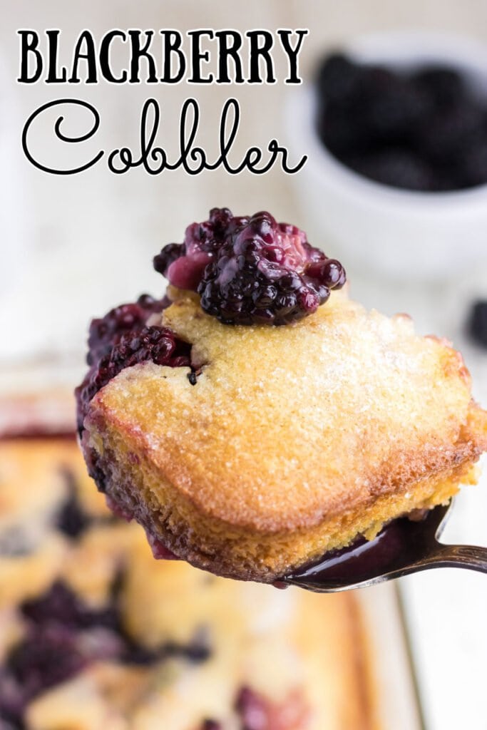 Blackberry Cobbler - Restless Chipotle