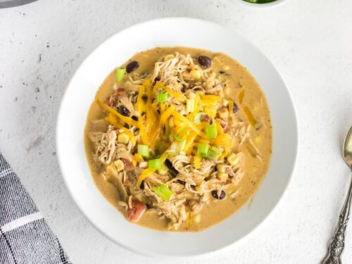 Is a Multi Cooker Better than a Slow Cooker? - Restless Chipotle