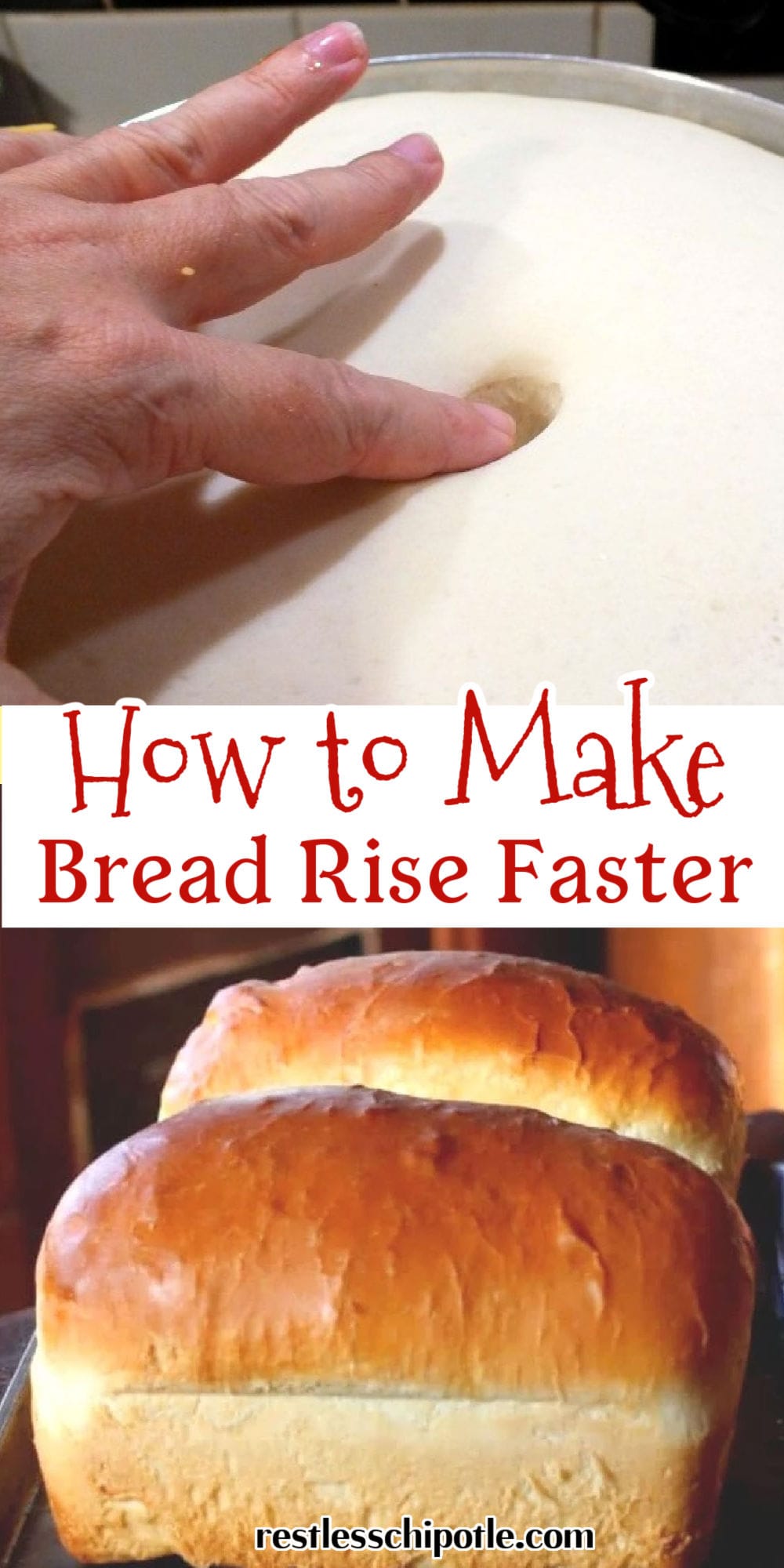 13 Techniques For How To Make Bread Rise Faster - Restless Chipotle