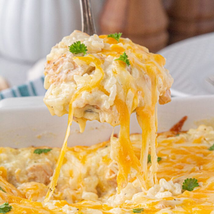 A scoop of cheese chicken and rice being lifted from the dish.