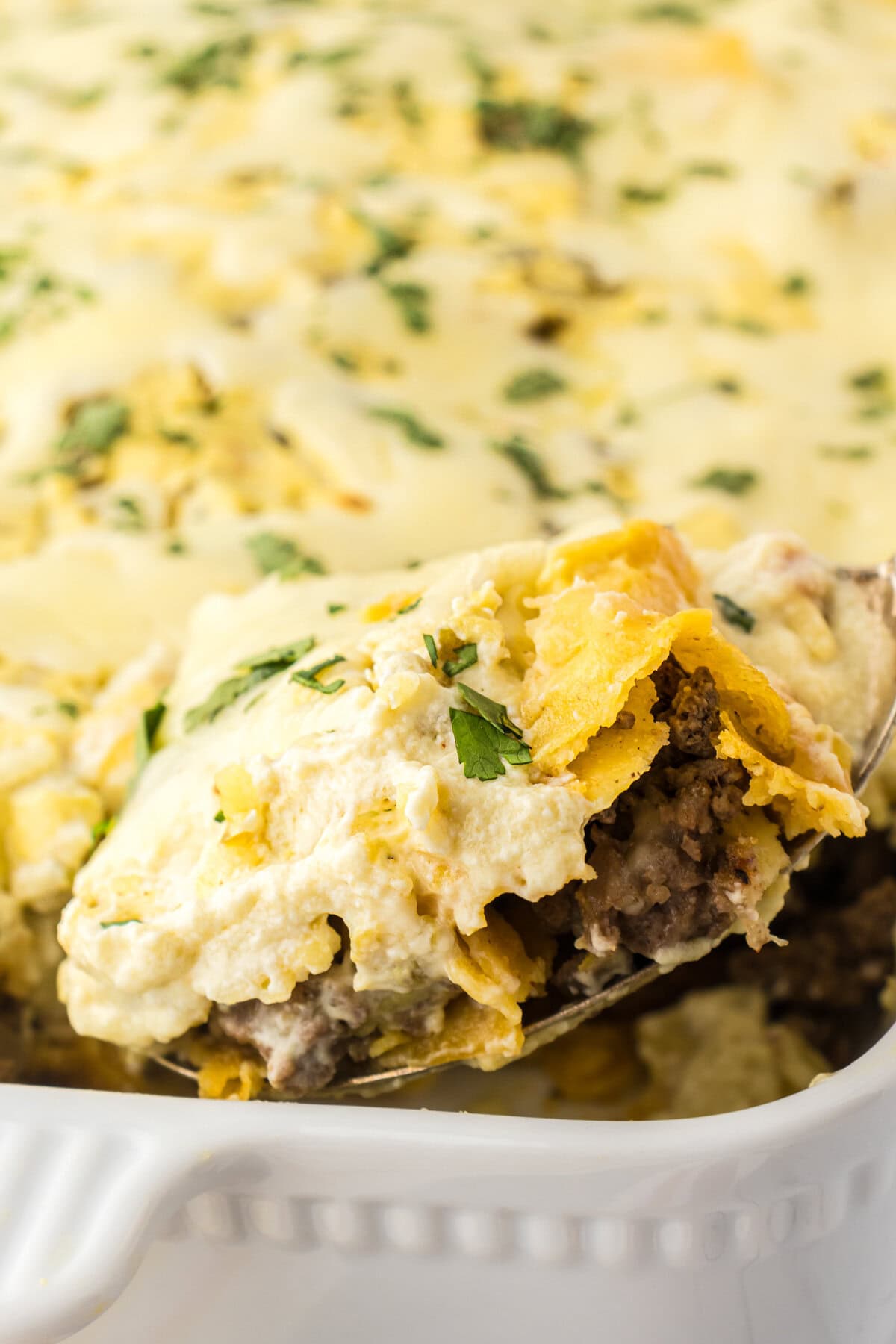An up-close photo of a scoop of green chile enchiladas with beef and cilantro.