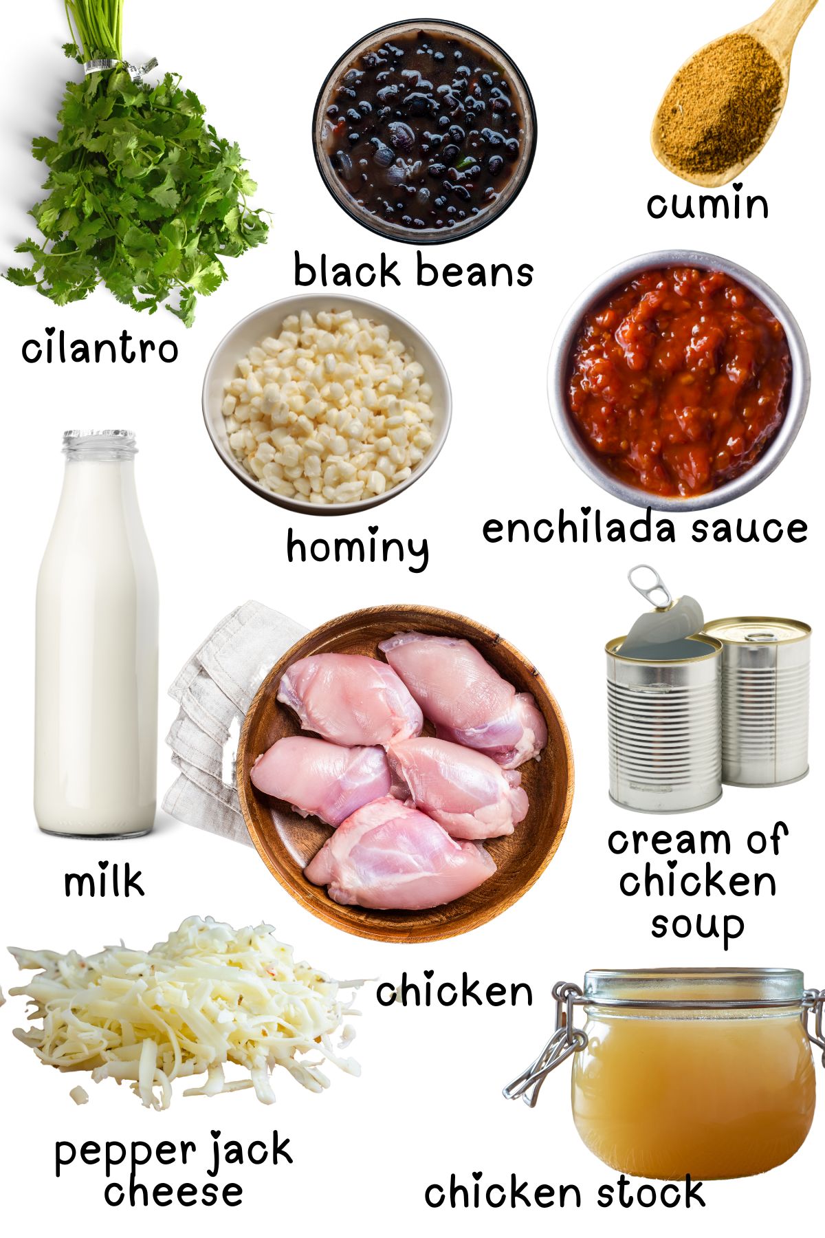 Labeled ingredients for the chicken enchilada soup recipe.