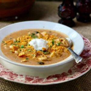 Closeup of enchilada soup in a white bowl.