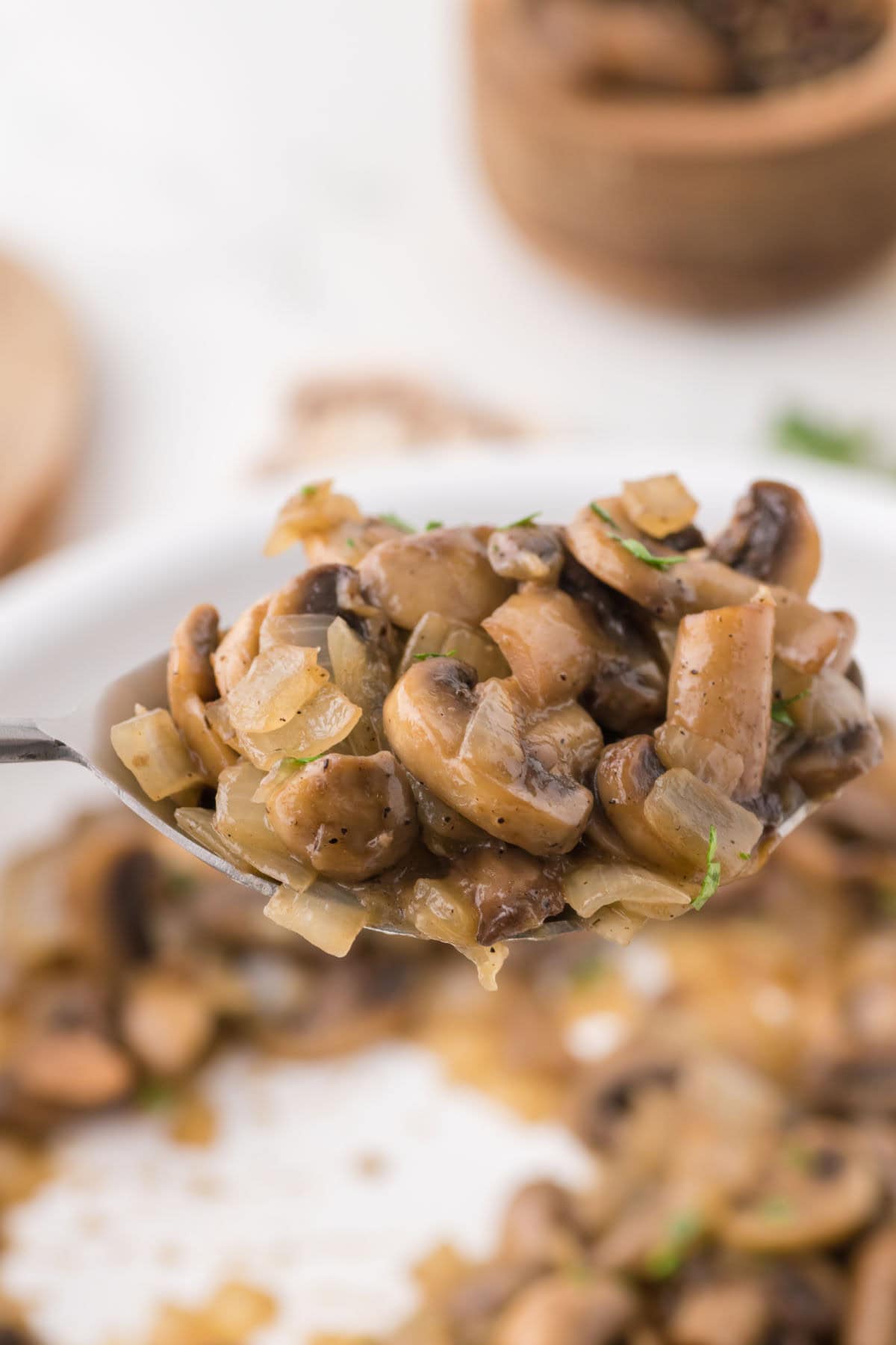 Closeup of mushrooms and onioons on a spoon.