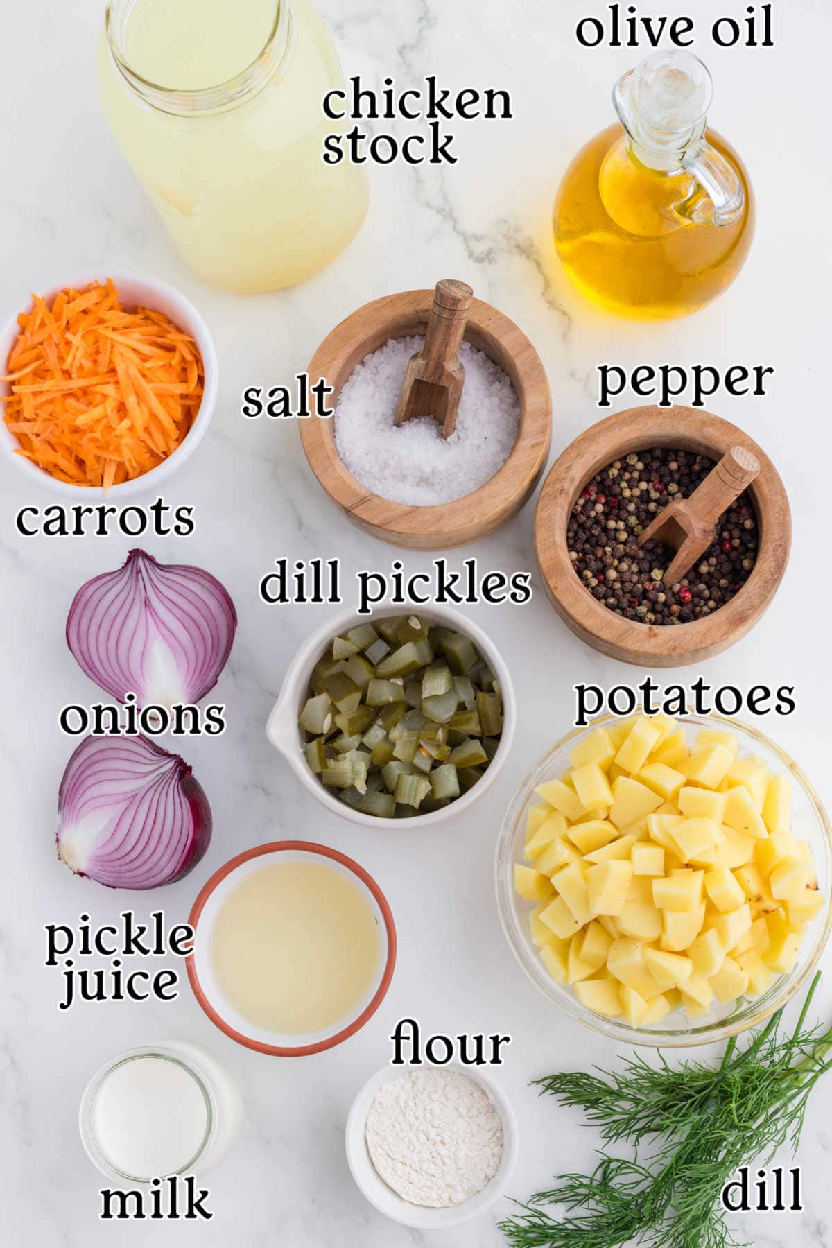 Labeled ingredients for dill pickle soup.