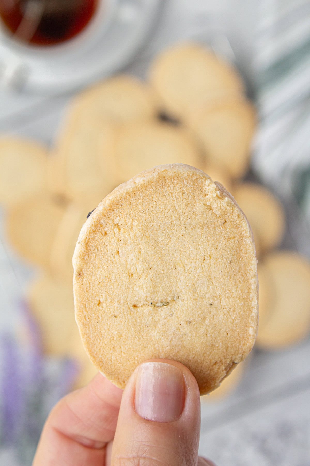 An up-close photo of a lavender shortbread cookie.