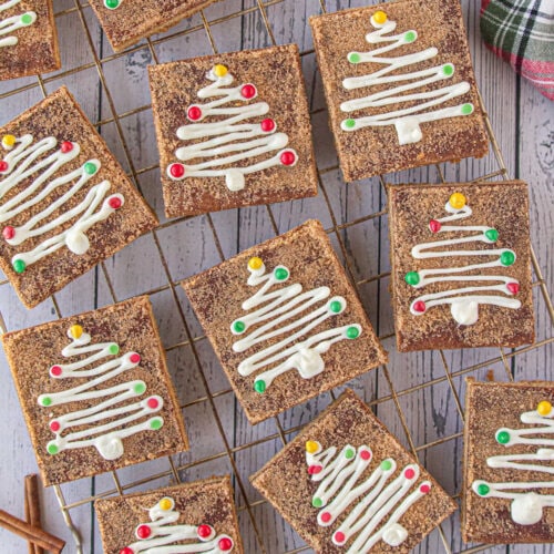 Close up of holiday decorated snickerdoodle cookie bars.