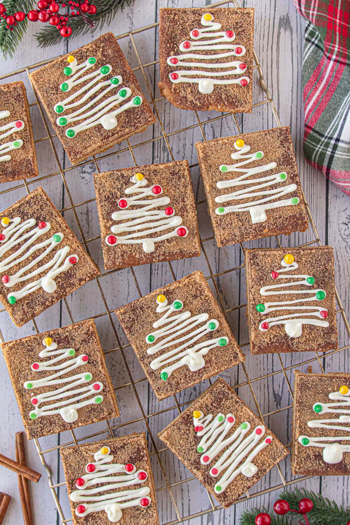 Overhead view of snickerdoodle cookie bars.