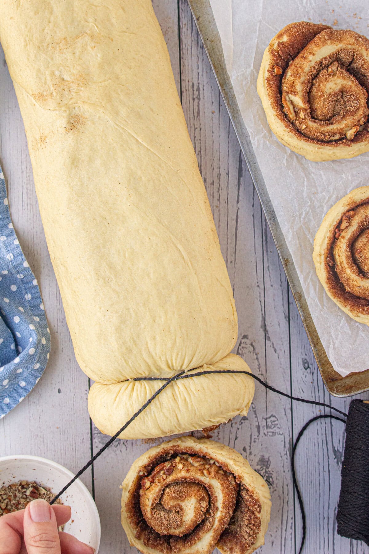 Cinnamon roll dough rolled and being cut.