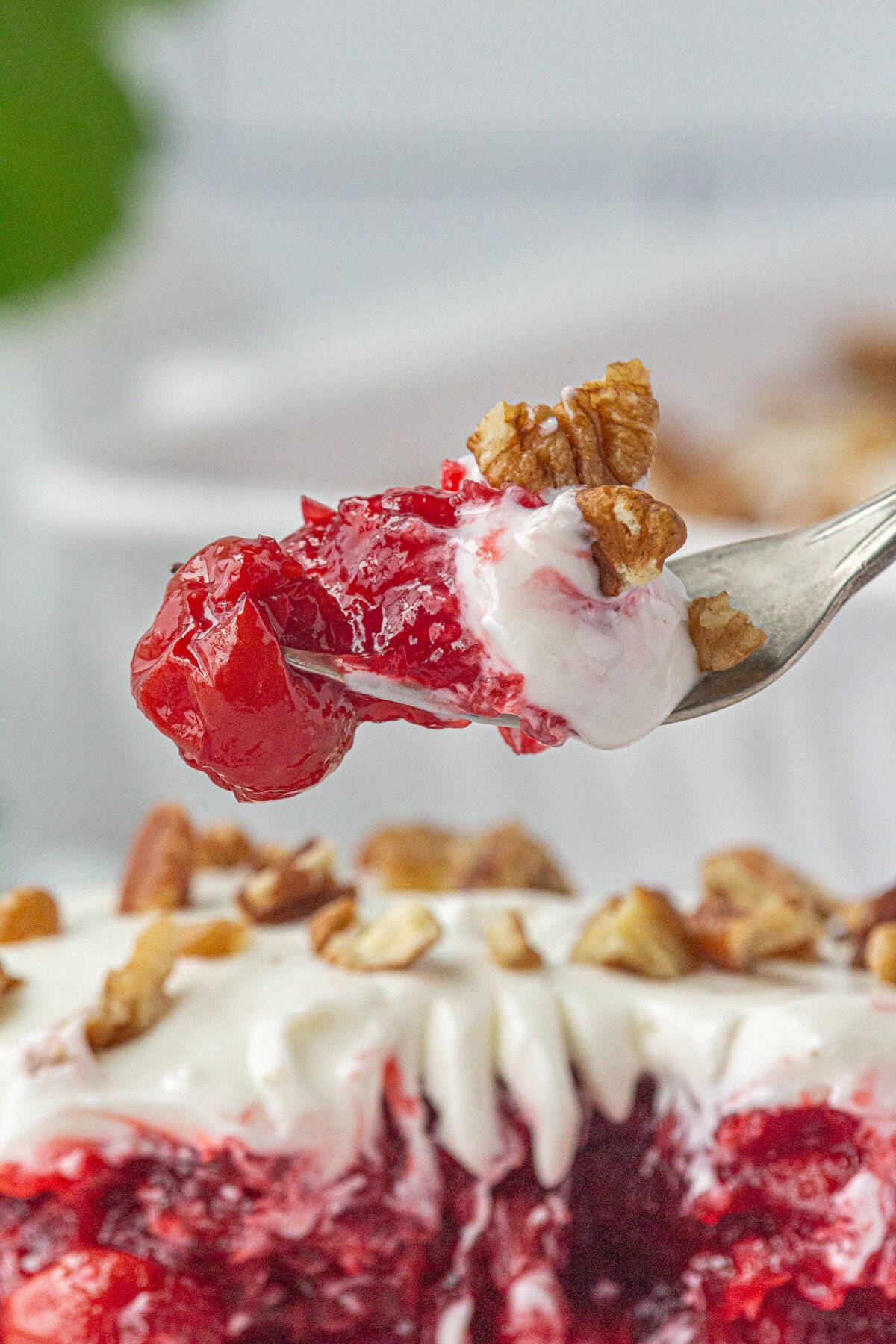 An up-close photo of a forkful of cherry salad.