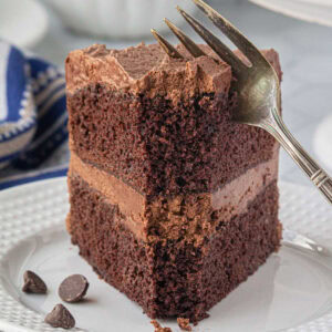 A slice of chocolate cake with mocha frosting.