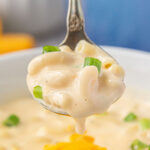 A spoonful of creamy macaroni and cheese soup dripping with creamy broth.